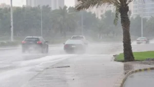 الطقس يشهد أمطارًا غزيرة ورعدية تؤثر على عدة محافظات وتعيد توزيع النشاط المناخي